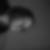 Photo de profil de Caroline Afanassieff
