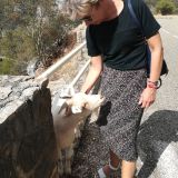 Photo de profil de Nathalie Rondel