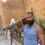 Photo de profil de Younes Boukharaz