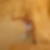 Photo de profil de Serge Tay