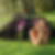 Photo de profil de Marie-France Mascart