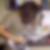 Photo de profil de Plumey Sydney