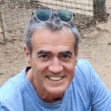 Photo de profil de André Marchesi