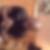 Photo de profil de Fridaos Badarou