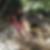 Photo de profil de Florence Giffon
