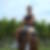 Photo de profil de Christophe Preiss
