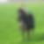 Photo de profil de Mégane Pauchet