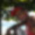 Photo de profil de Chanfi Bacar