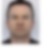 Photo de profil de Albert Ducros
