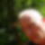 Photo de profil de Christian Hassoun