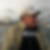 Photo de profil de Dany Delouche