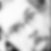 Photo de profil de Georges Pillard