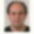 Photo de profil de Noel Sastre
