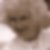 Photo de profil de Gérard Dugain