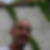 Photo de profil de Nicolas Didey