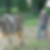 Photo de profil de Francis Lelaurin
