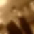 Photo de profil de Jerome Denis