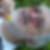 Photo de profil de Jean Louis Vannson