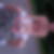 Photo de profil de Gabriel Bouyssou