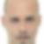 Photo de profil de Raphael Feichter