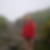 Photo de profil de Sandrine Presle