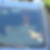 Photo de profil de Bernard Souply