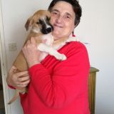Photo de profil de Ghislaine Morlon