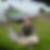 Photo de profil de Herve Lorton