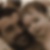 Photo de profil de Ludovic Abily