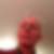 Photo de profil de Bertrand Beugnies