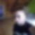 Photo de profil de Gaetan Danard
