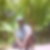 Photo de profil de William Anin
