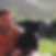 Photo de profil de Joel Demagny