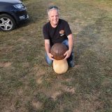 Photo de profil de Patrice Komorniczak