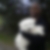Photo de profil de Patrick Vouteau