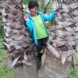 Photo de profil de Nadine Chapon