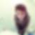Photo de profil de Maxence Gillet