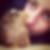 Photo de profil de Sandrine Laborie