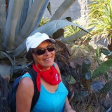 Photo de profil de Dominique Collin
