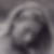 Photo de profil de Anne Garcin