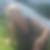 Photo de profil de Gyslaine Perrin