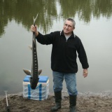 Photo de profil de Jacky Gaillard