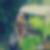 Photo de profil de Agathe Carlier