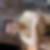 Photo de profil de Joel Richomme