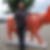 Photo de profil de Alain Cornaille