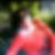 Photo de profil de Nadra Simi
