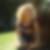 Photo de profil de Evelyne Fonseca