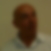Photo de profil de Miche Paolini