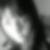 Photo de profil de Aline Stellwagen