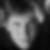 Photo de profil de Thibault Raillard
